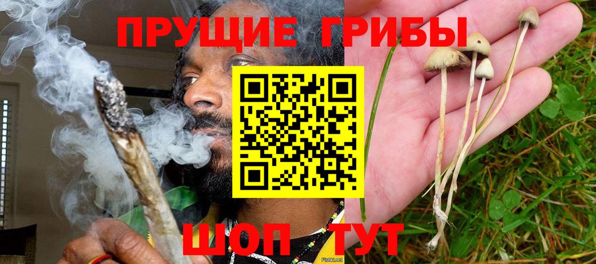 Солнечногорск  Псилоцибиновые грибы Psilocybine cubensis  Вход с VPN  купить наркотики цена  Псилоцибиновые грибы MAGIC MUSHROOMS 