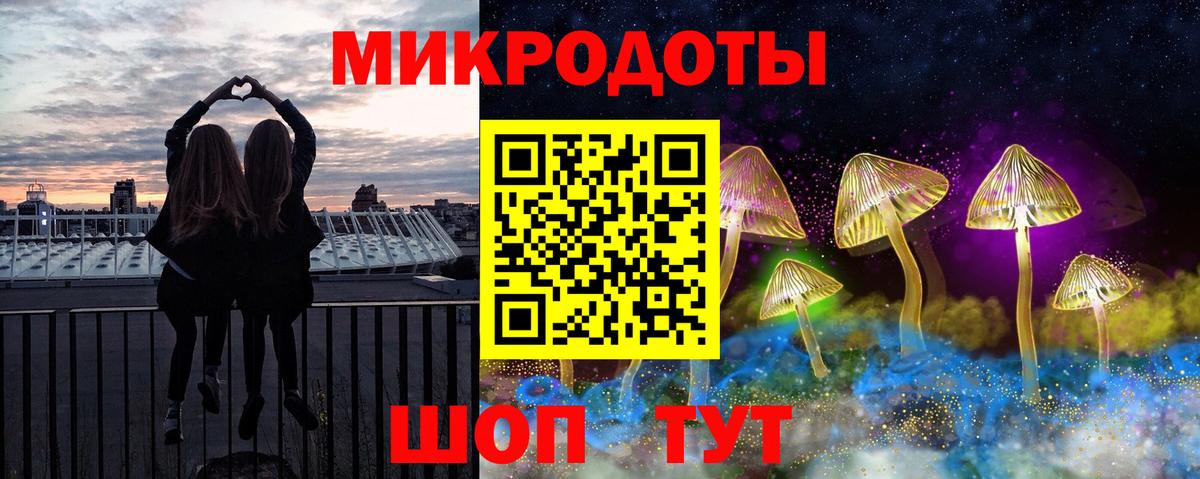 Галлюциногенные грибы Psilocybine cubensis Солнечногорск